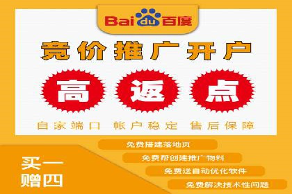 百度竞价推广运营策略：成功案例解析